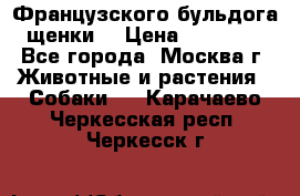 Французского бульдога щенки  › Цена ­ 35 000 - Все города, Москва г. Животные и растения » Собаки   . Карачаево-Черкесская респ.,Черкесск г.